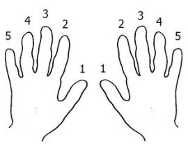 piano finger numbers
